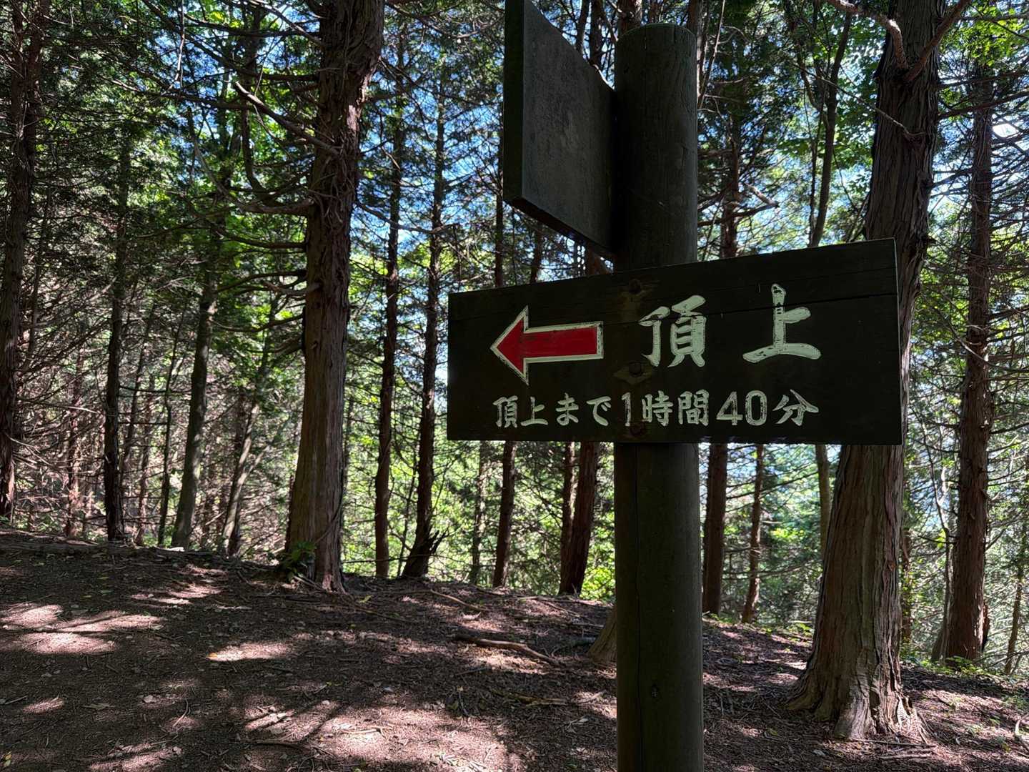 下蒜山登山口から少し進んだ先にある看板。
頂上まで、１時間40分‼️結構あるな。