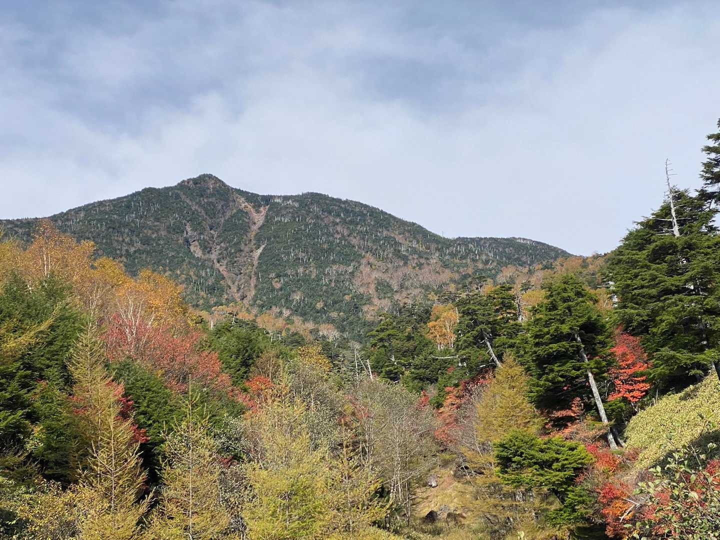 梵字飯場跡-志津峠-大真名子山-小真名子山-富士見峠 往復コースの写真