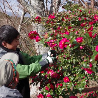 お母さんに、と撮影🌺

めんこいじゃーん！
いいじゃーん！
（充電残高すくねーけど）
優しいじゃーん！