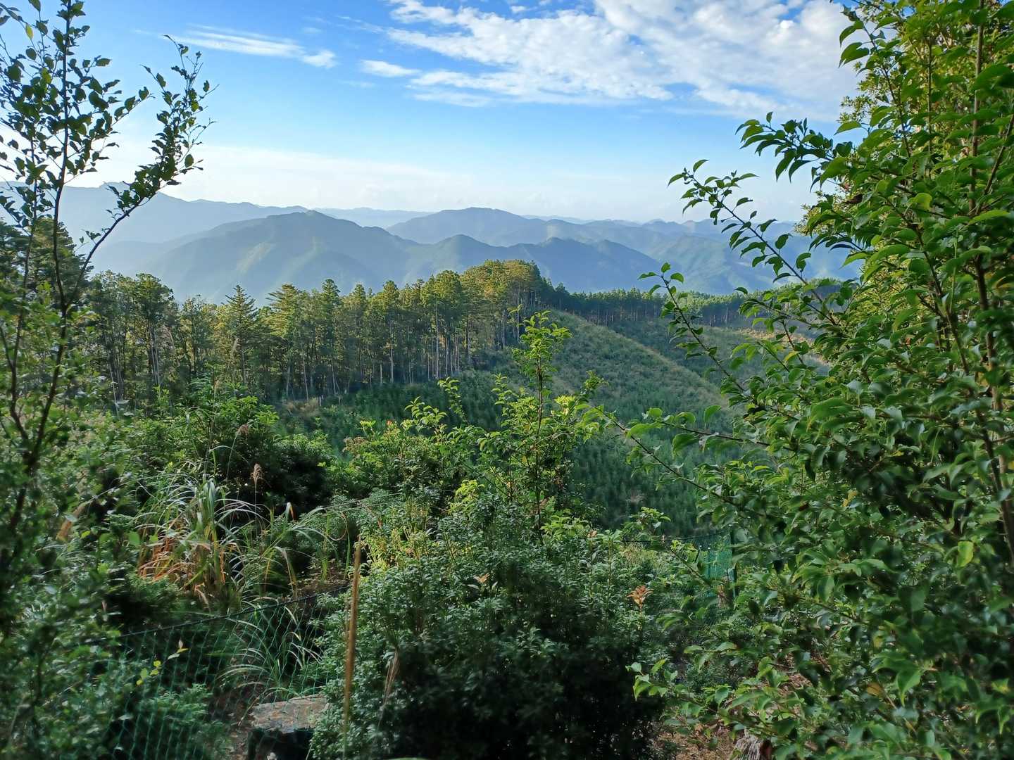 悪四郎山の写真