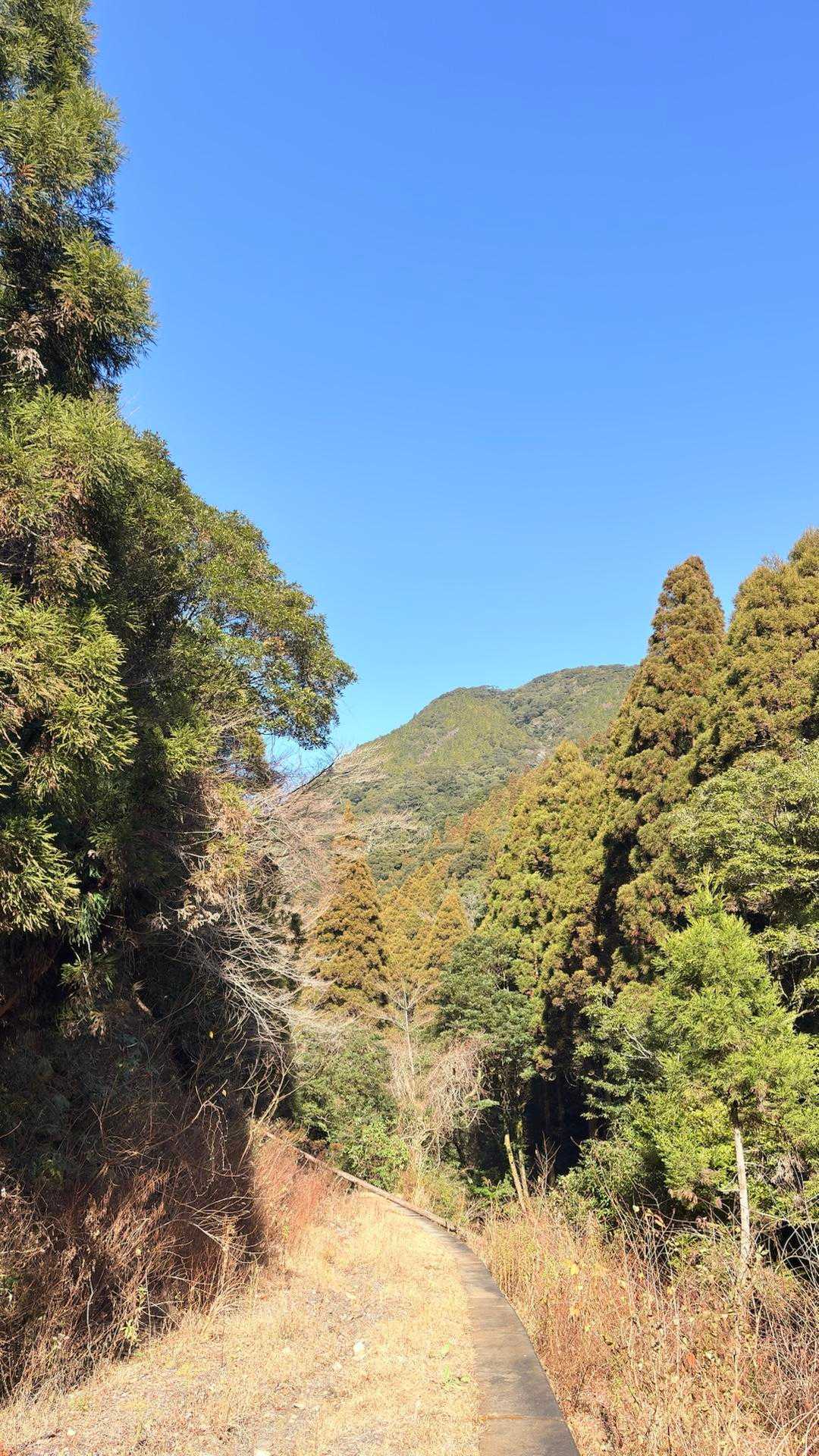 登山3日目に優しい「歴史の道」
「急登が少なく緩やか」と感じられたのは、そこが**「街道（道）」**だったからです。
江戸時代の武士や旅人、荷を運ぶ馬が通る道は、極力体力を消耗しないように斜度が設計されています。3日目の疲れた足には、この「先人の知恵が詰まった傾斜」が優しく響いたことと思います。