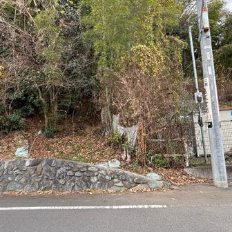 電信柱の左手が登山口です
取っ掛かりが急登ですが、すぐにジグザグの九十九折れで急斜面を登っていきます