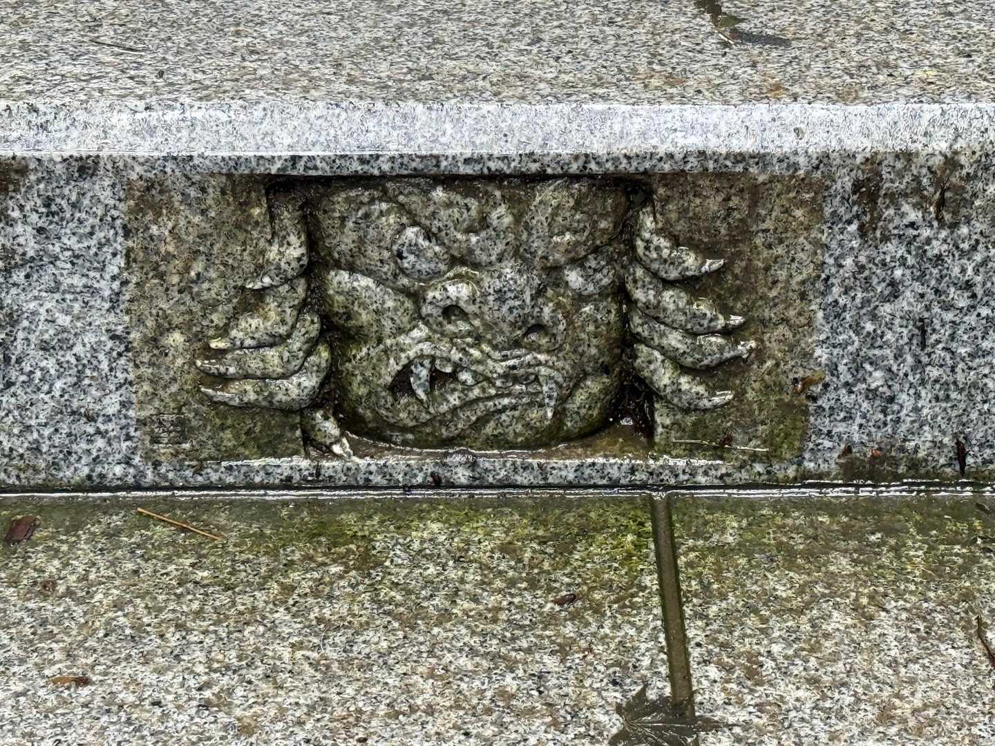 御嶽神社への階段の側面にあった　不気味
他の種類も