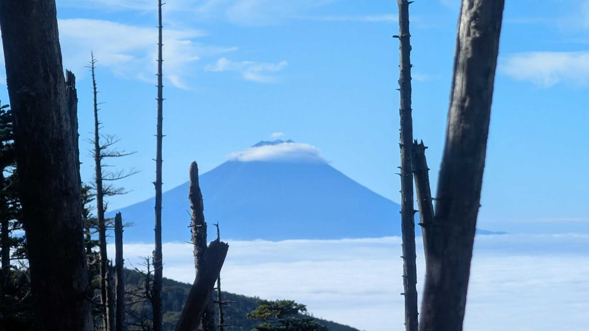 富士山🗻
所々で富士山がちらりと見えて、今年の春に歩いた奥高尾縦走路を思い出しました😊