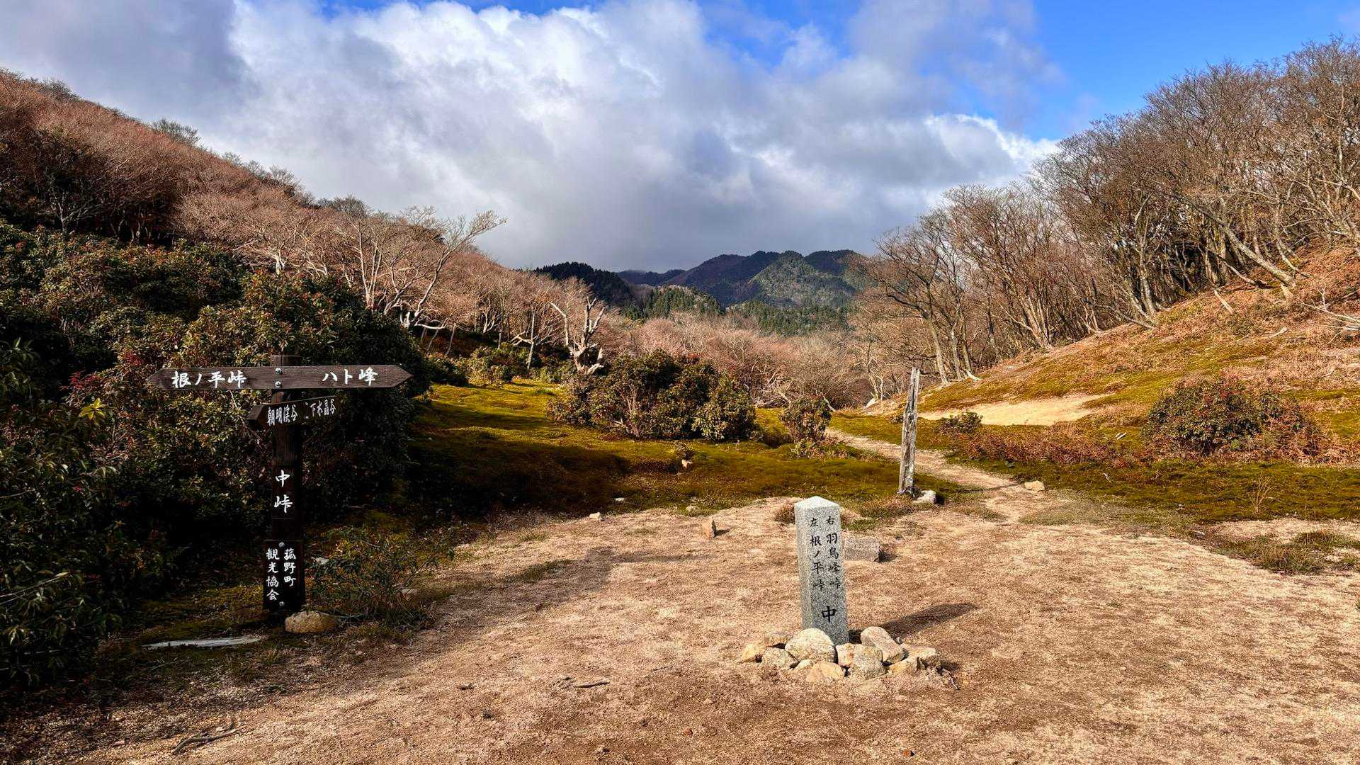 中峠着、ここステキ😌