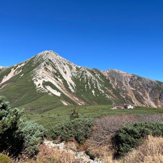 黒部五郎小屋へ向かう途中
振り返って鷲羽岳👋