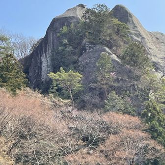 里へ降りてくると、佐貫観音山を下から眺めることができる。さっきまであのてっぺんにいたんだね。
数人の観光客がいて、皆望遠レンズを上に向けている。ハヤブサを撮影したいみたい🦅