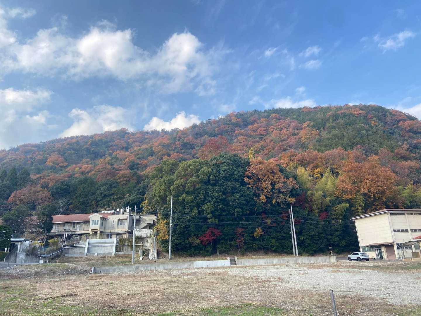 12月に紅葉見れて幸せ