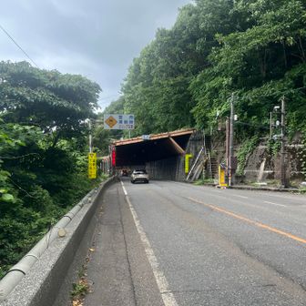 親不知駅がゴールなのであと4kmほど歩きます。
前半は歩道無し。