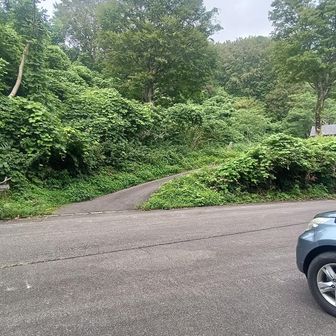 道路側の駐車場に
正面から入った駐車場でもよい