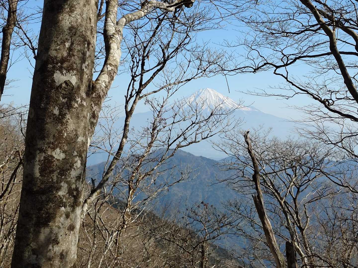 稜線からは富士山🗻✨️