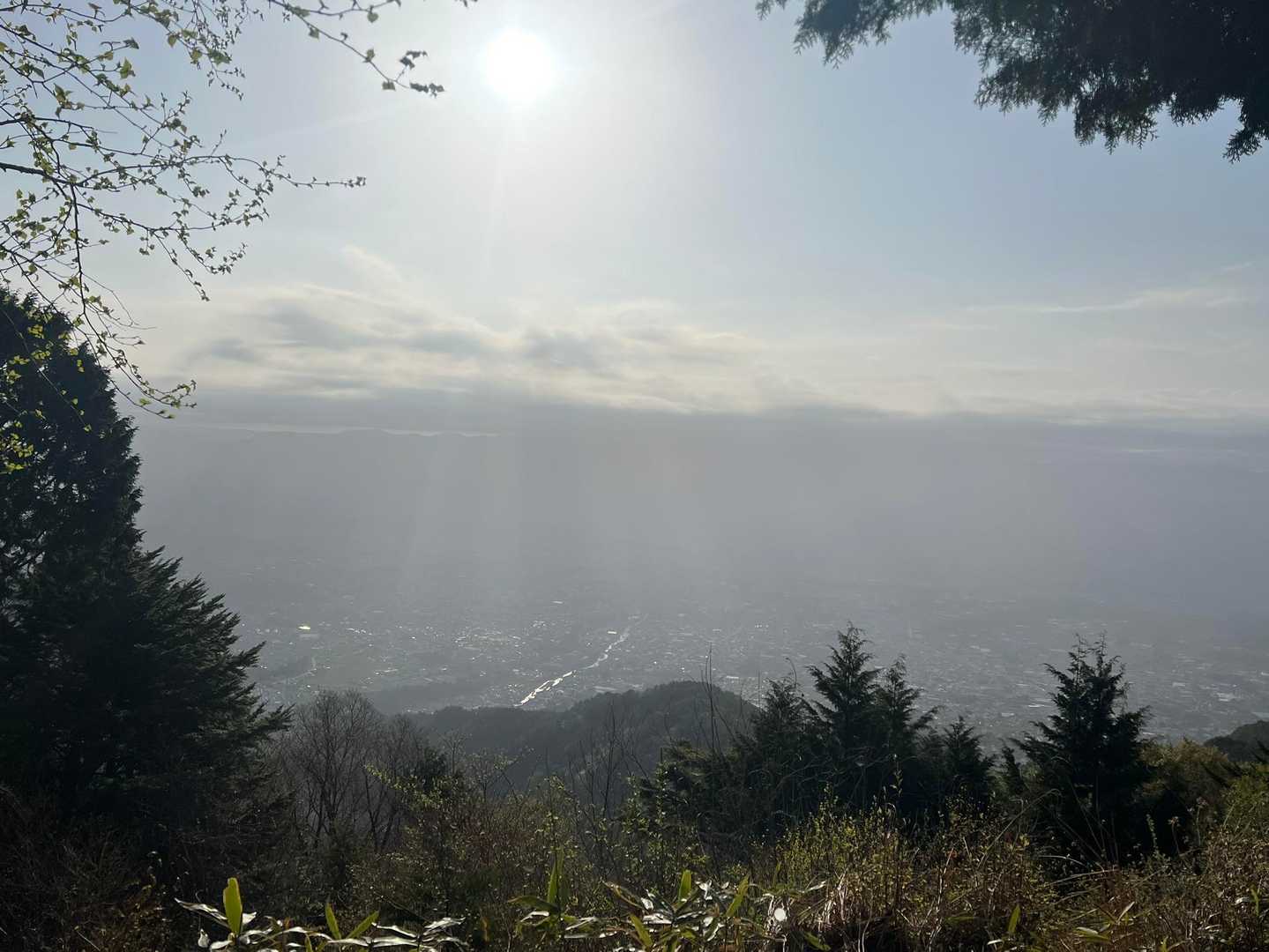 今日はいい天気になりそう😍