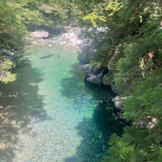 橋から