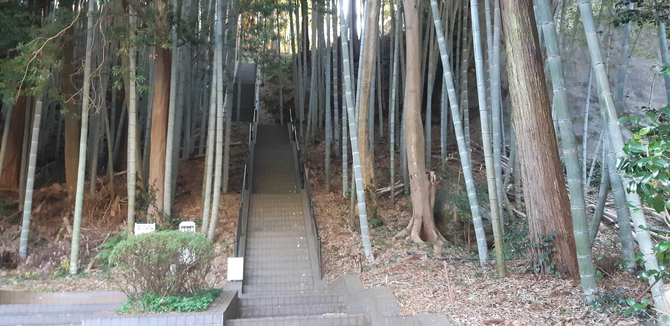 この鍛練段からスタート