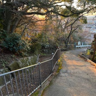 いつもより長め、すっかり夕暮れになってしまいました