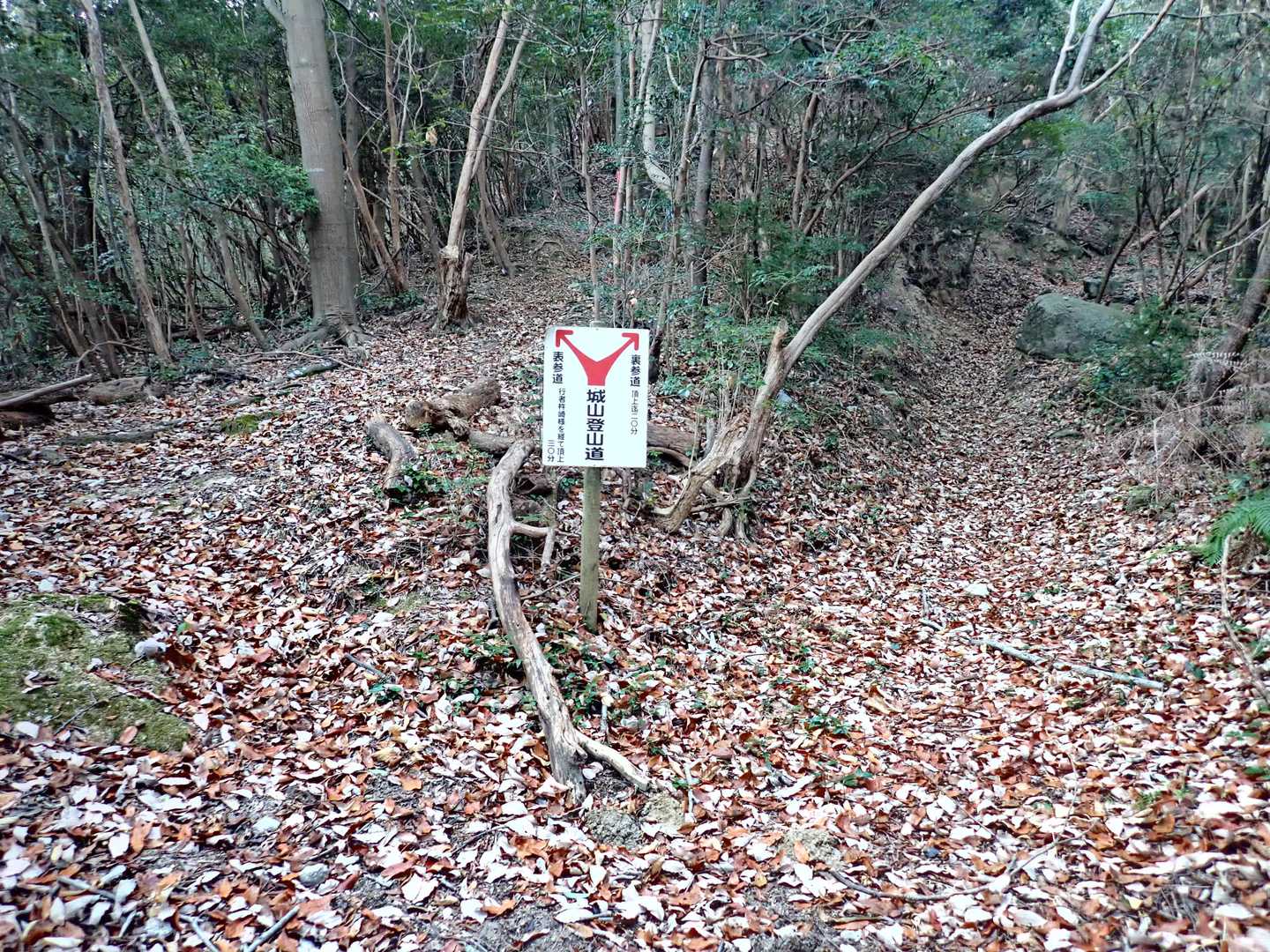 表参道と裏参道の分岐。裏参道の方が早いですが、表参道へ。