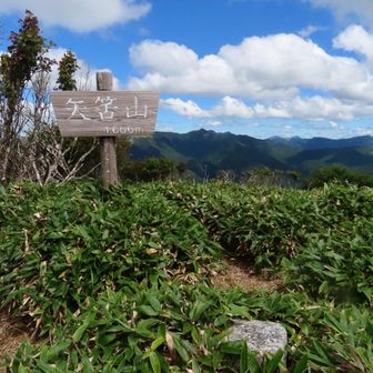 土佐矢筈山1606m  山頂🙌🏻  ⚐ﾞ四国百名山
