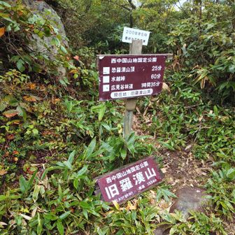 旧羅漢山ピーク。眺望は晴れてても恐らく無いと思われます。