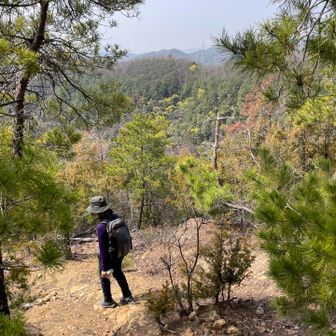 松の木の緑がきれいでした