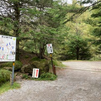 何となく雨が当たる感じがしたので、早めにここまで下りてこれて良かったです。