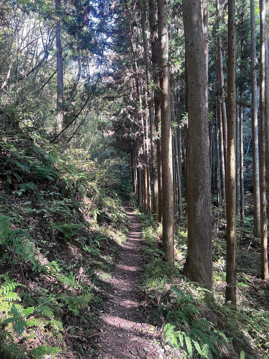 立神山-鍋転山-月居山-月居観音堂 周回コースの写真