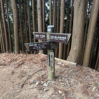 なだらかな道からロックガーデンへ下ります