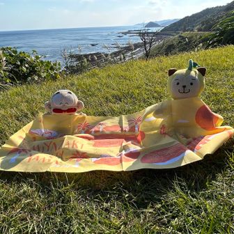 双石山・花切山・岩壺山 「道の駅 フェニックス」で、ひぃくんと合流。もらったばかりの手ぬぐいを広げて記念撮影しました。

ひぃ「本当に良く頑張ったね。此はぼんちくんの物だッ！」

ぼんち「あぃがどおおお！！」

ひぃ「年末、県外へ遠征するから、其の時はぼんちくんも招待するね。」