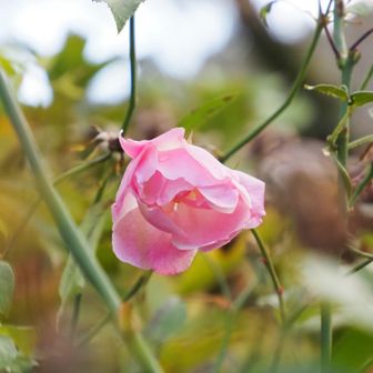 てくてくと道路を歩いて…
定光寺公園まで戻ってきました✨