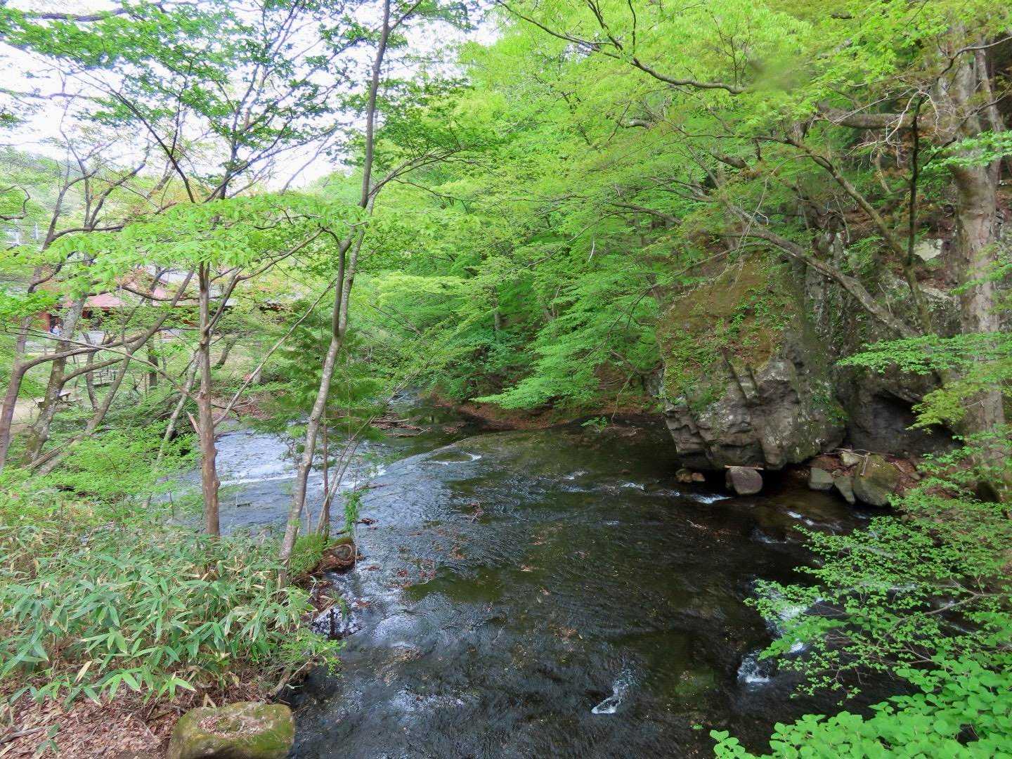 スタート地点のキャンプ場まで来ました🏕️
不動岩の展望台まで行きます