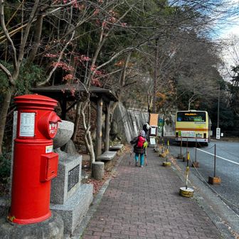 ちょうど居ました。
もう出ちゃうかも！！と走るつく坊。
まだまだパワーはあるみたい。
あとは精神力がアップしたらどこでもいけそう！！
本日もお疲れ様でした。
雪の大山楽しかったです！読んでくれてありがとうございました！