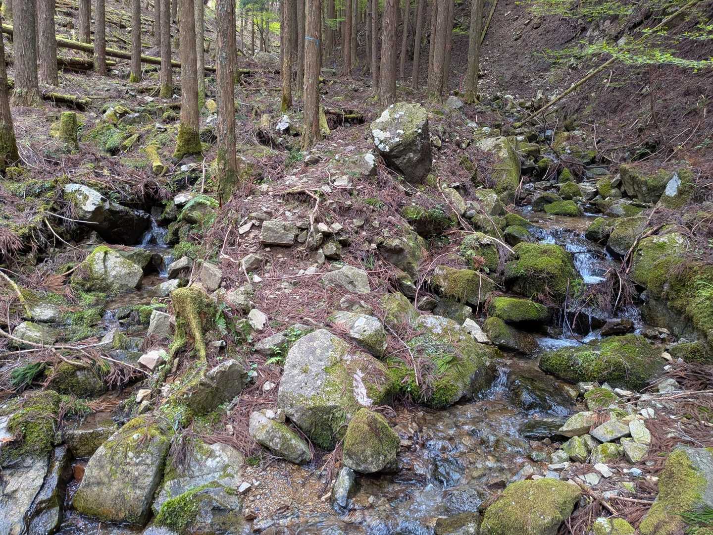 沢歩きも楽しめます🚶