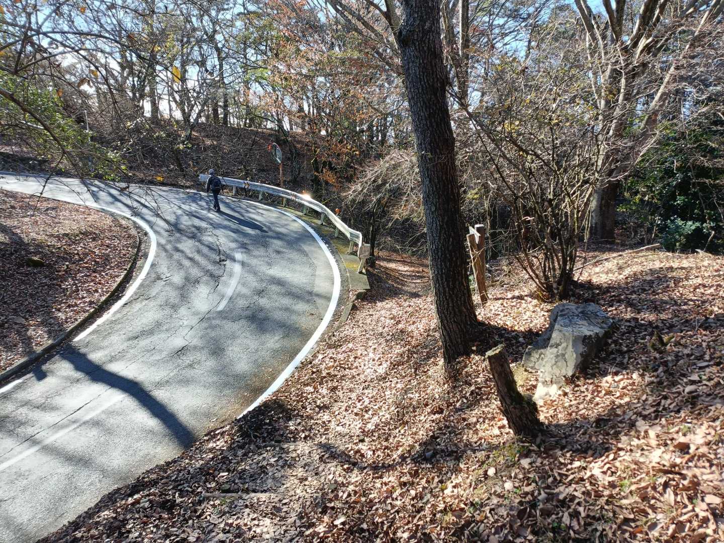 万葉公園過ぎて