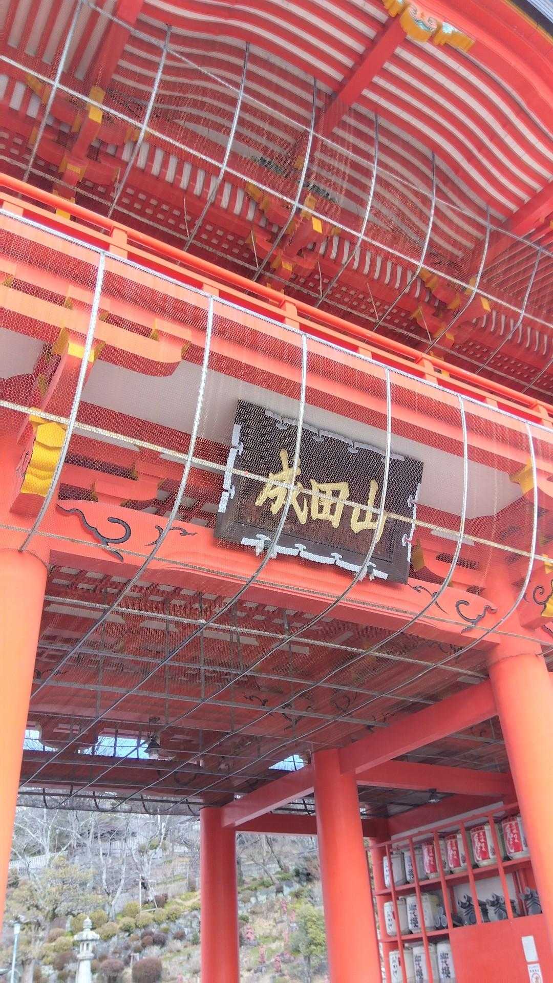 迫力満点