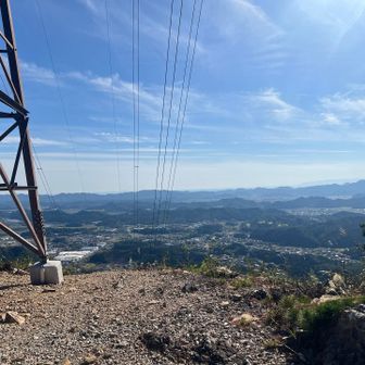 ここまでのアップダウンが激しくて
トラバースする登山道探すもなし。