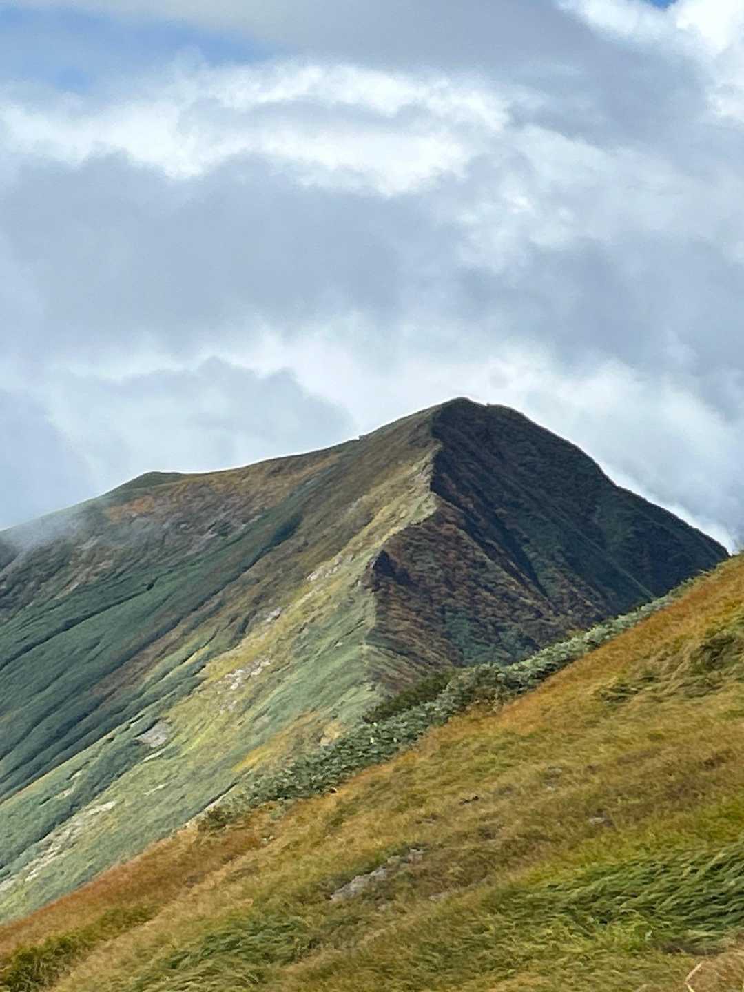 山頂近くの草紅葉が綺麗