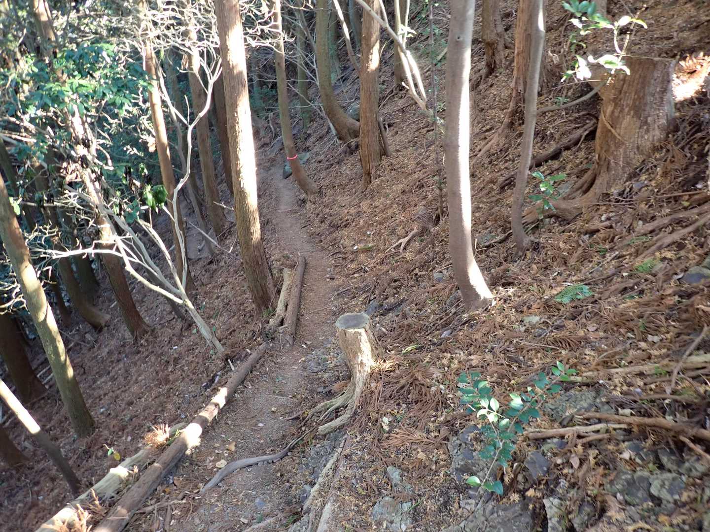 トラバース気味に下っていく。