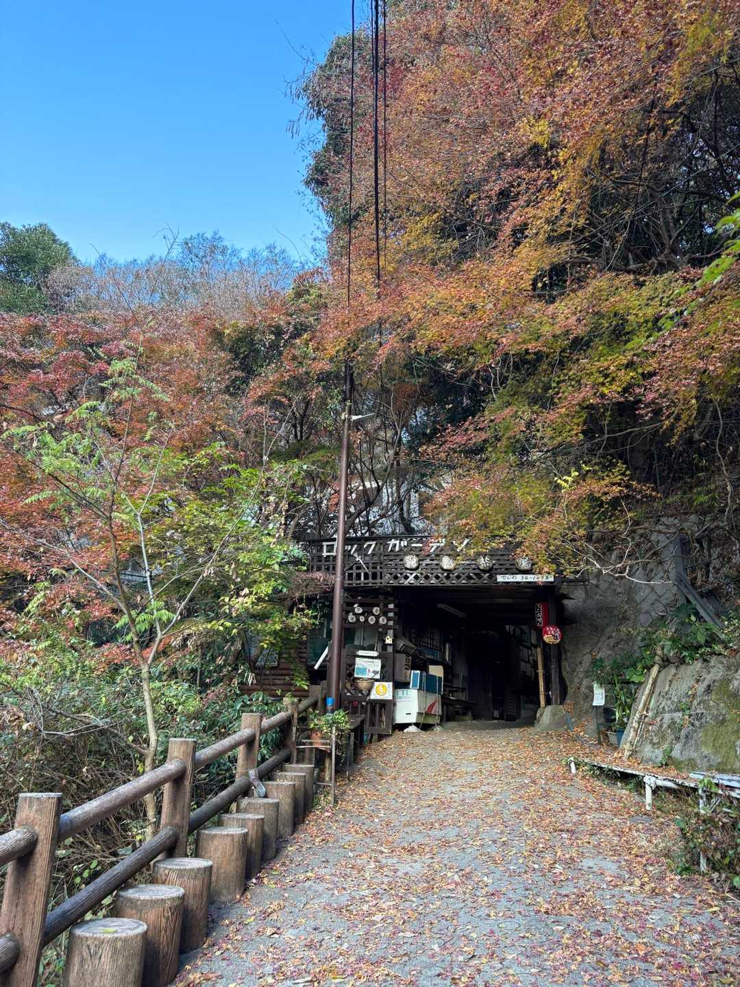いつもの出発点　まだ紅葉少し残ってました