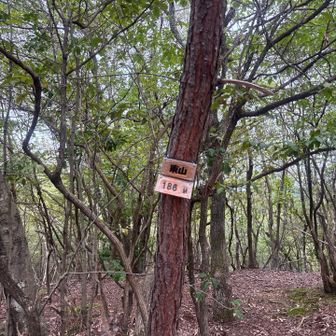 横へ移動してるとお山があったので登ってみました♬
東山文化の東山？
と思ったら
東山とは比叡山から伏見稲荷くらいまでの山々の総称でした💦