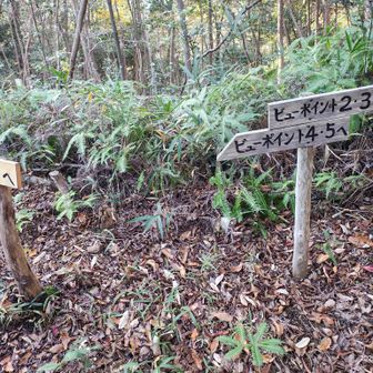 山頂しか行かん