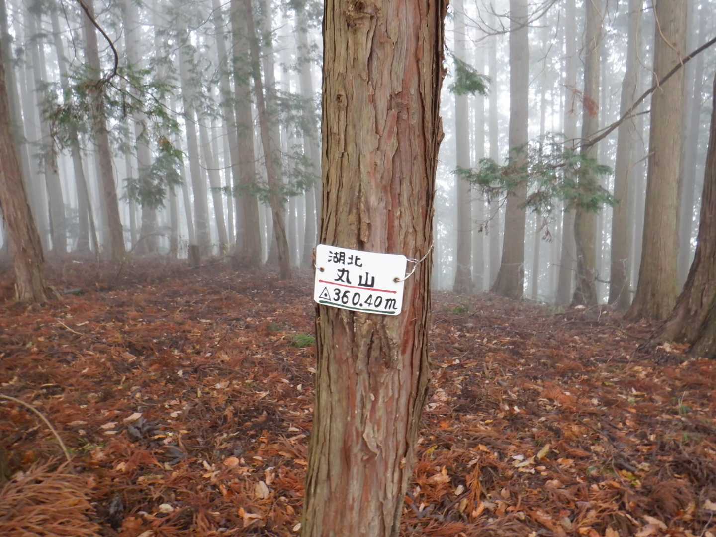 湖北丸山