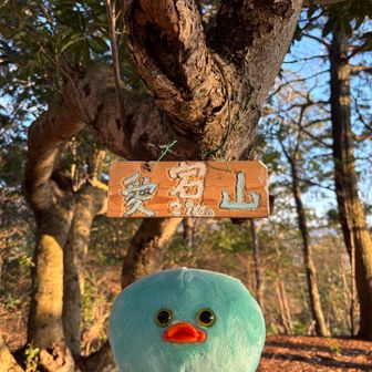 夕日に照らされるもじょ様🫰