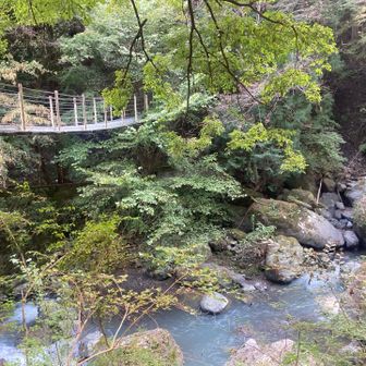 紅葉はまだかな