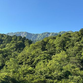 大山も、綺麗に、