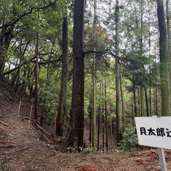 貝太郎辻