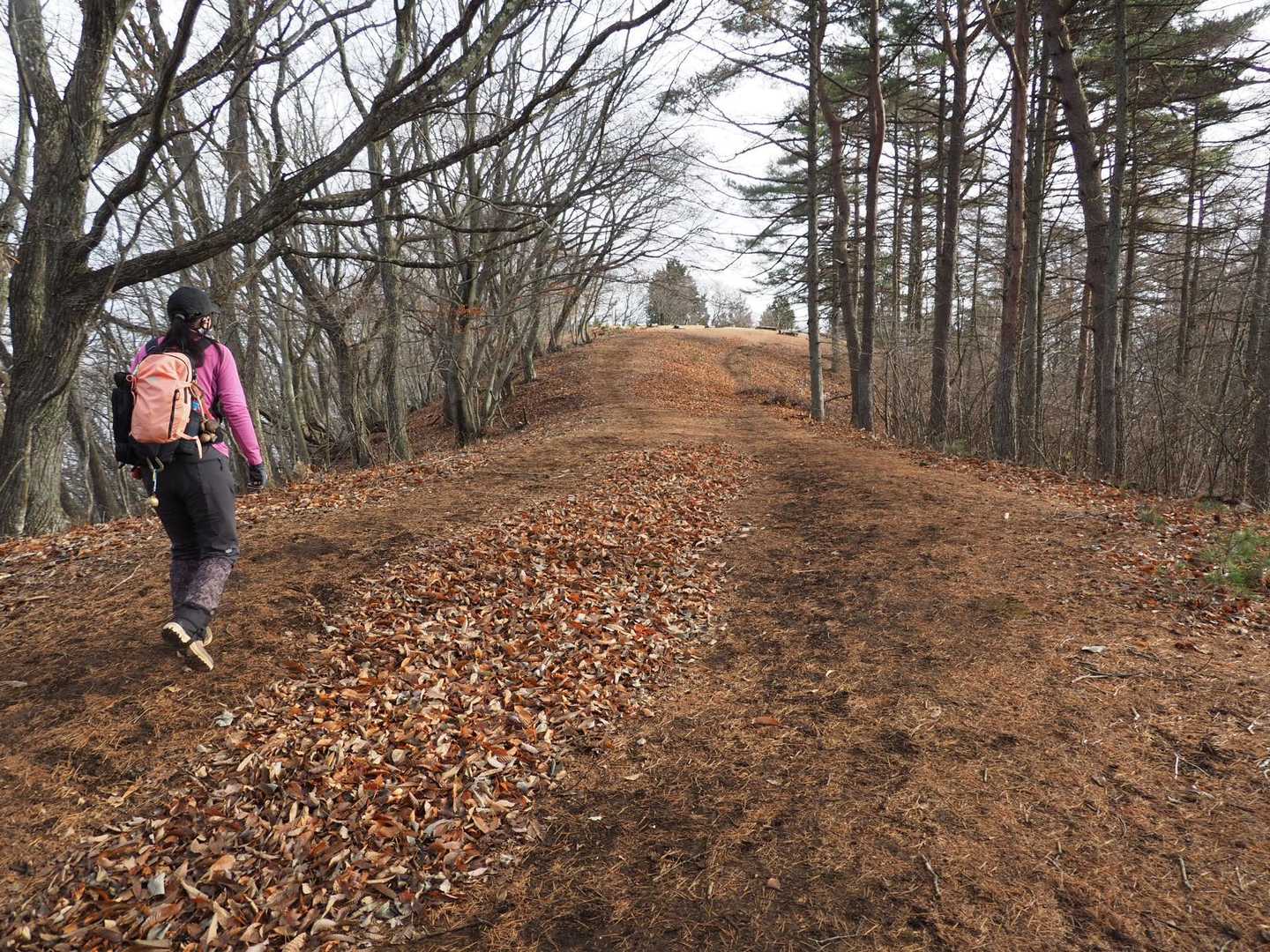 扇山 / super beeさんの百蔵山・扇山・権現山の活動データ | YAMAP / ヤマップ