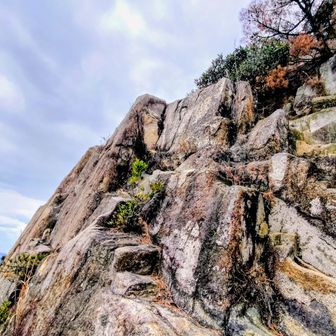 適度な段差で登りやすくなってます🙂
落ちたらﾀﾋにますが…