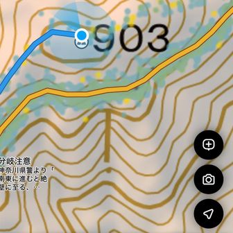 グレーピーク取りに行きました