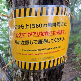 ひときわ目立つ