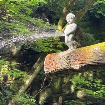 なかなかの勢いです😄