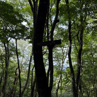 標識らしきあるけど読めない💦